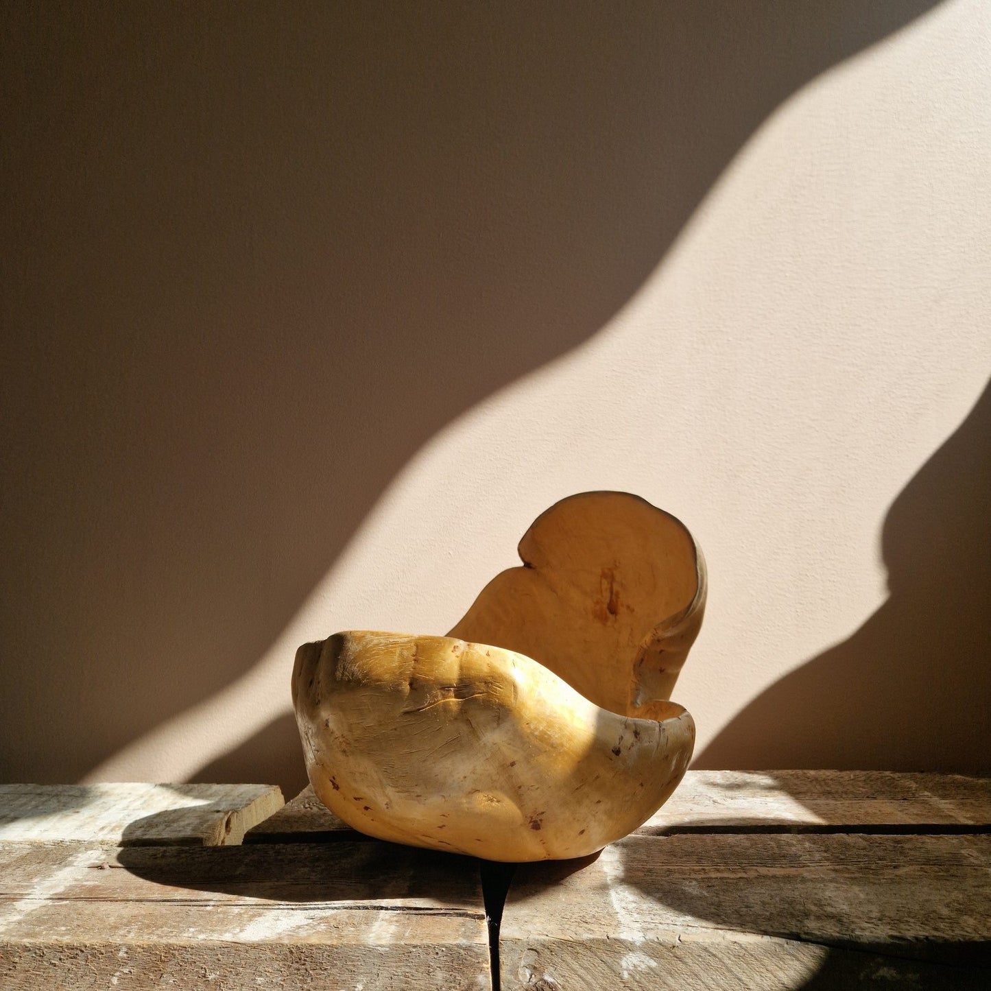 Large swedish burl bowl