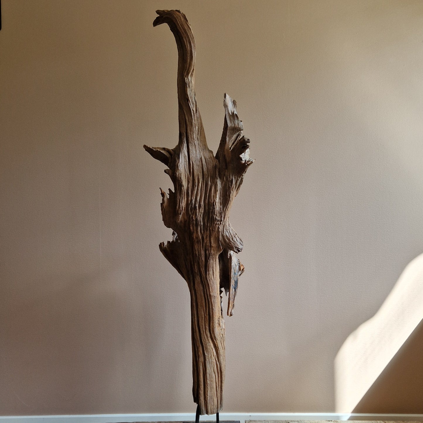 LARGE TREE ROOT SCULTPURE