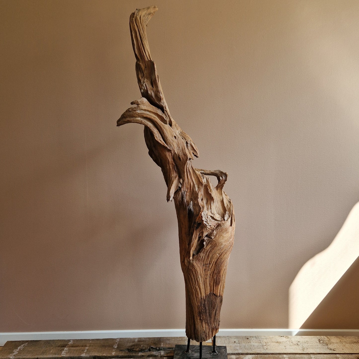 LARGE TREE ROOT SCULTPURE