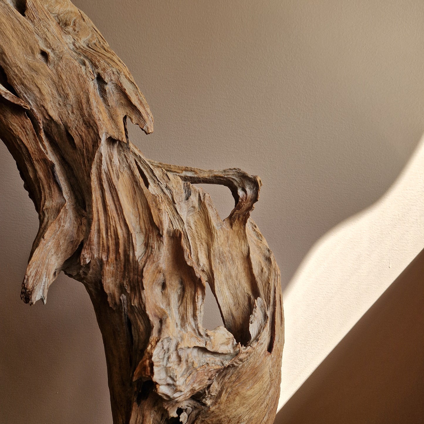 LARGE TREE ROOT SCULTPURE
